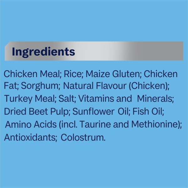 Advance - Kitten - Chicken - Image 12