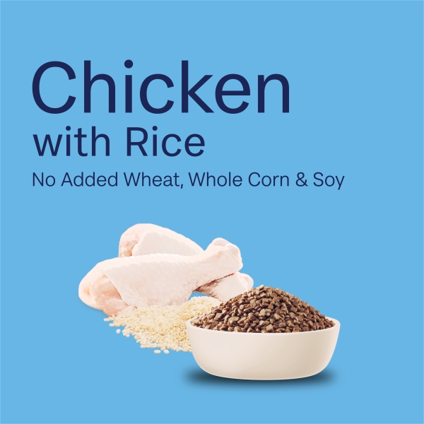 Advance - Kitten - Chicken - Image 13
