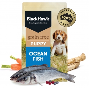 Black Hawk - Puppy - GRAIN FREE - Ocean Fish