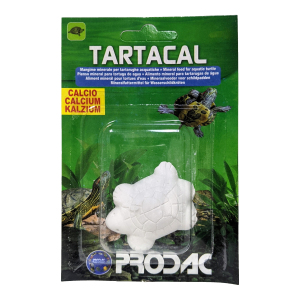 Prodac - Turtle - Calcium Block