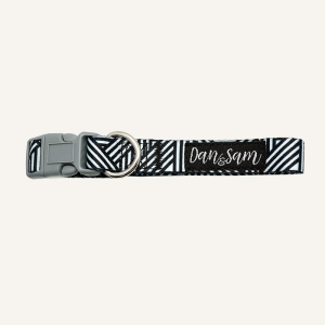 Dan & Sam - Dog Collar - Abstract