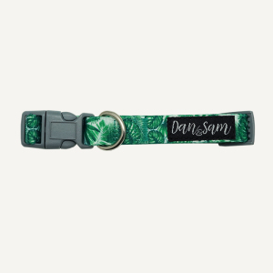 Dan & Sam - Dog Collar - Lahana