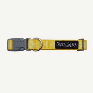 Dan & Sam - Dog Collar - Wild Sunflower