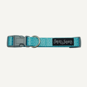 Dan & Sam - Dog Collar - Grooving