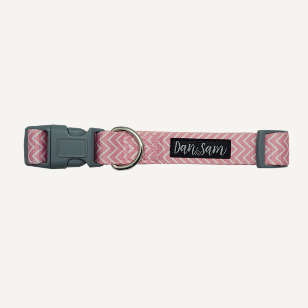 Dan & Sam - Dog Collar - Candy Floss