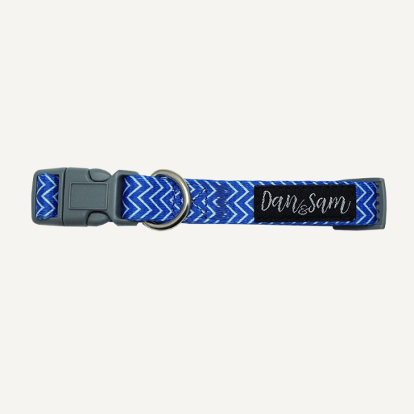 Dan & Sam - Dog Collar - Ziggy