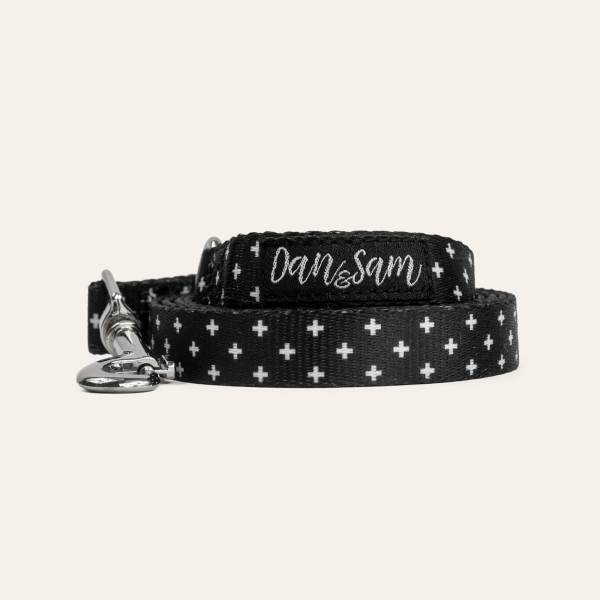 Dan & Sam - Dog Lead - Crossways - Image 2