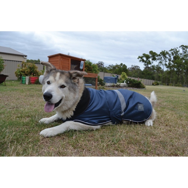 ZeeZ - Waterproof Dapper Dog Coat - Old Navy - Image 3
