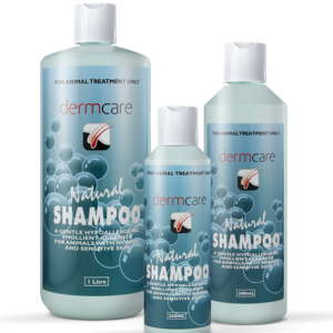 Dermcare - Natural Shampoo