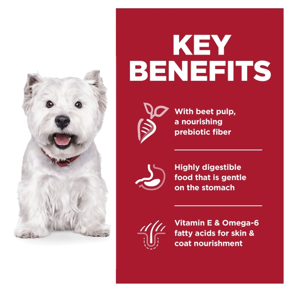 Hill's - Science Diet - Adult Dog - Sensitive Stomach & Skin - Small Bites - Image 4