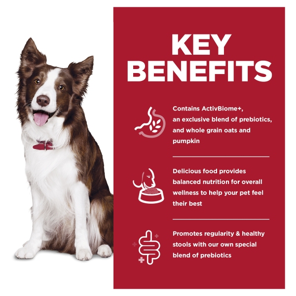 Hill's - Science Diet - Adult Dog (1-6) - Perfect Digestion - Image 4