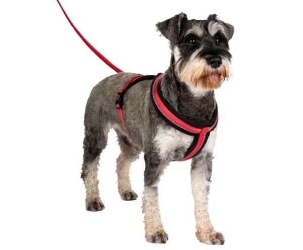 Company of Animals - Halti - Comfy Harness