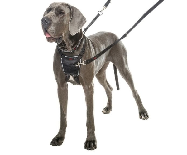 Company of Animals - Halti - No Pull Harness - Image 7