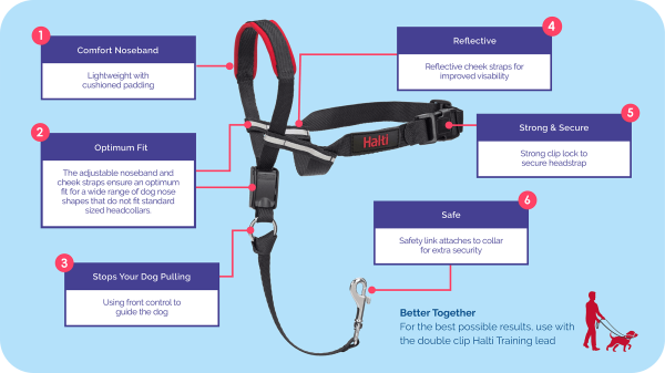 Company of Animals - Halti - Optifit Headcollar - Image 8
