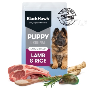 Black Hawk – Puppy - Large Breed - Lamb & Rice