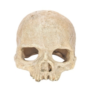 Pet Worx - Skull Ornament