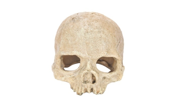 Pet Worx - Skull Ornament