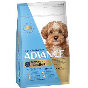Advance - Puppy - Oodles