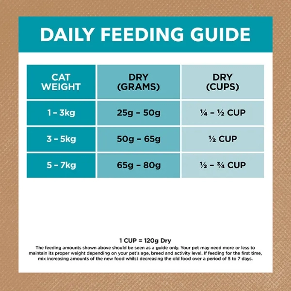 Ivory Coat - Adult Cat - GRAIN FREE - Ocean Fish & Salmon - Image 6