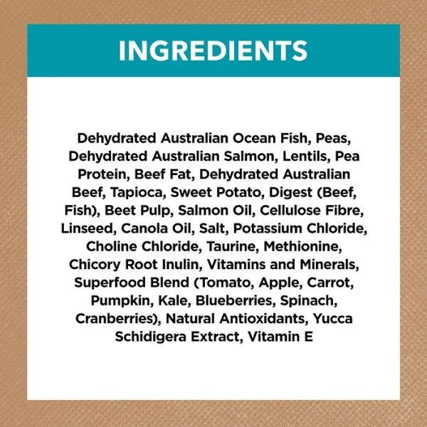 Ivory Coat - Adult Cat - GRAIN FREE - Ocean Fish & Salmon - Image 7