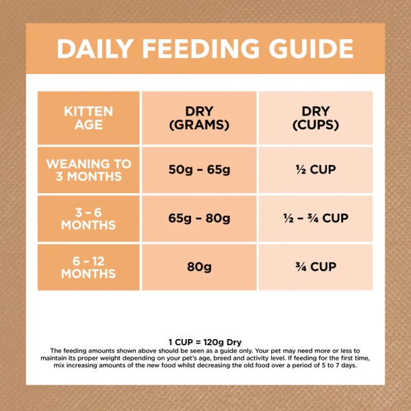 Ivory Coat - Kitten - GRAIN FREE - Chicken - Image 6