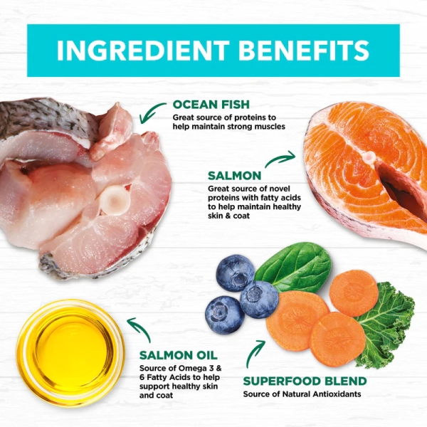 Ivory Coat – Kitten – GRAIN FREE – Ocean Fish & Salmon - Image 7