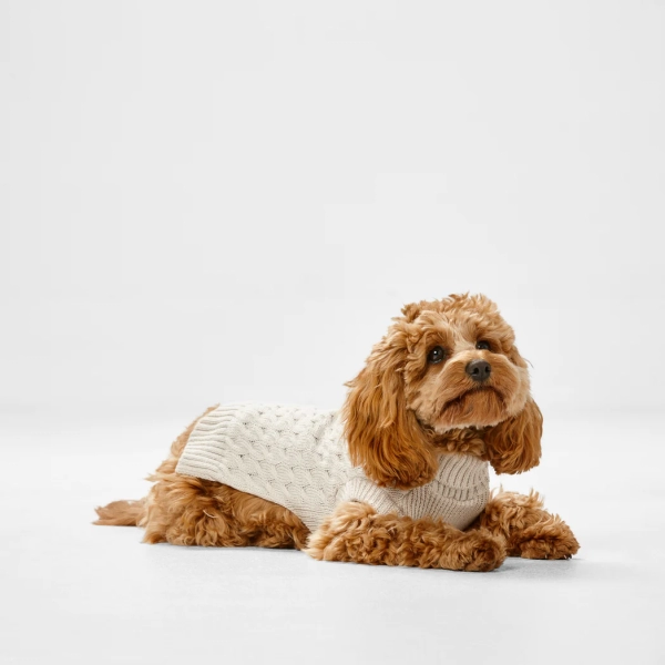 Snooza Wear - RPET Knit Polo - Oatmeal - Image 3