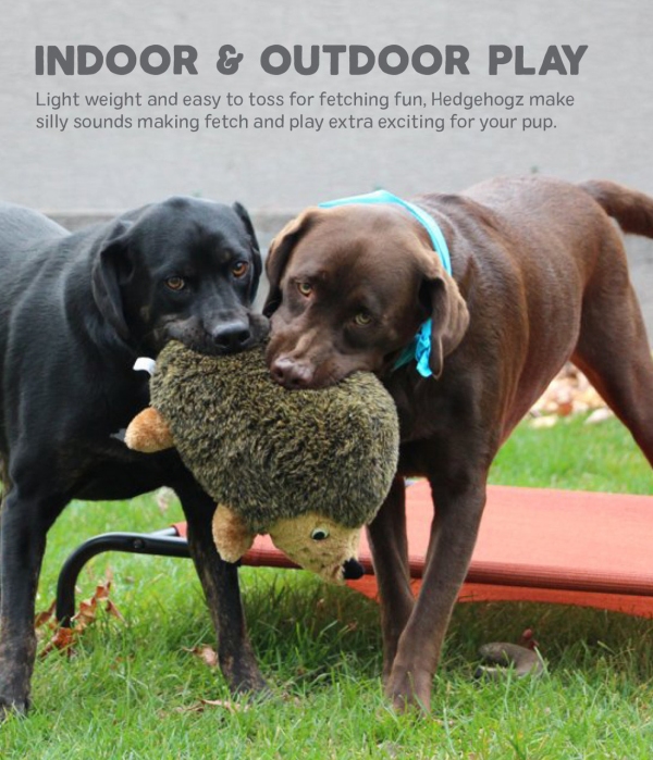 Outward Hound - Plush Hedgehogz - Image 6