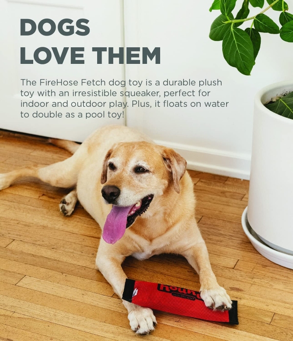 Outward Hound - Firehose Fetch - Image 5