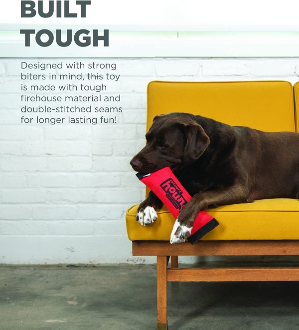 Outward Hound - Firehose Fetch - Image 4