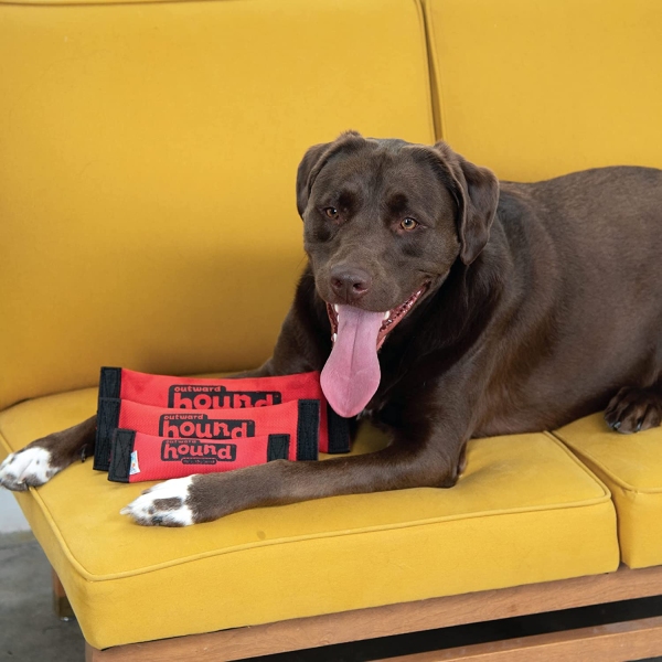 Outward Hound - Firehose Fetch - Image 6