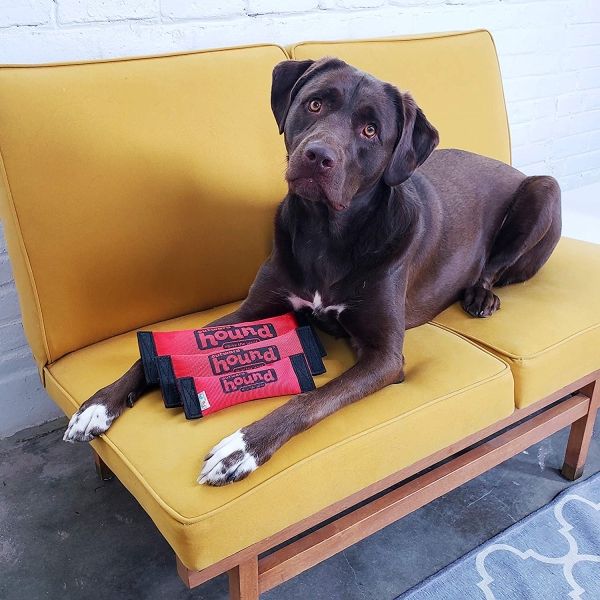 Outward Hound - Firehose Fetch - Image 7