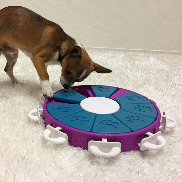 Outward Hound - Nina Ottosson - Dog Twister Puzzle (Level 3) - Image 5