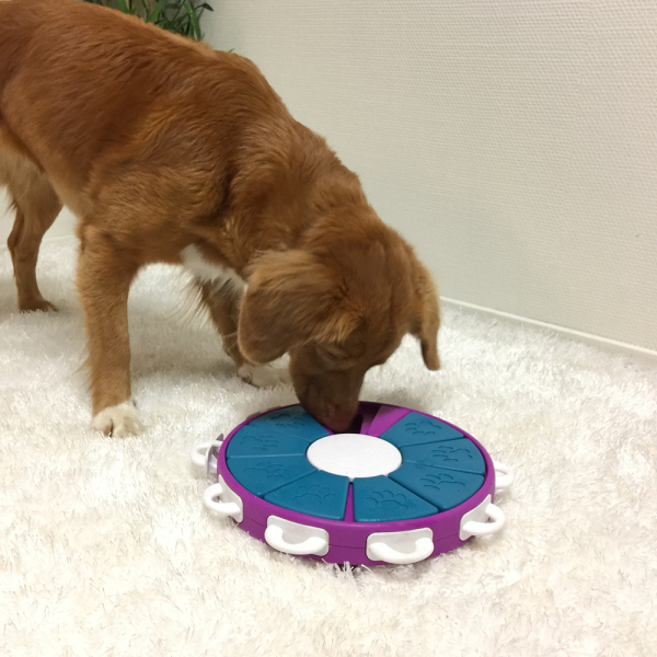 Outward Hound - Nina Ottosson - Dog Twister Puzzle (Level 3) - Image 6