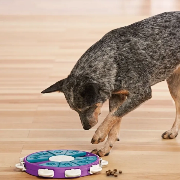 Outward Hound - Nina Ottosson - Dog Twister Puzzle (Level 3) - Image 4