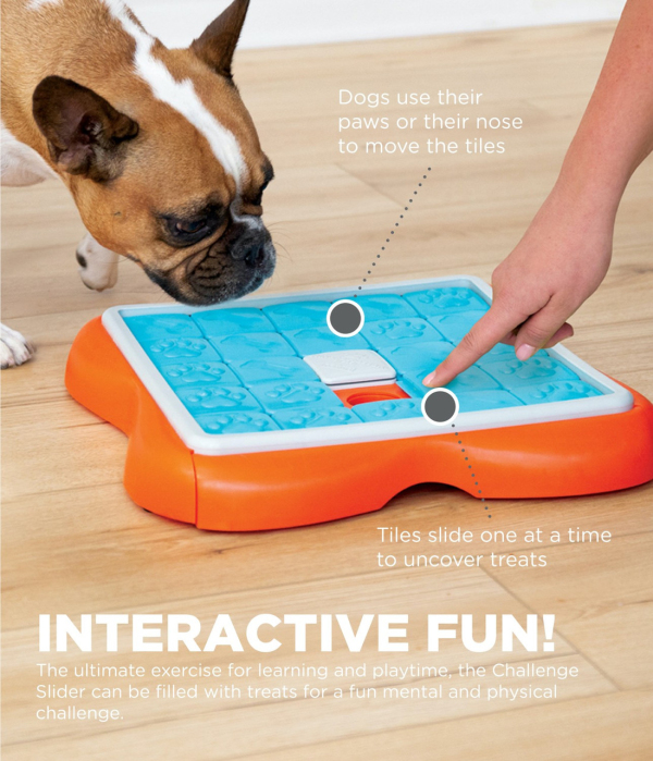 Outward Hound - Nina Ottosson - Dog Challenge Slider (Level 3) - Image 4