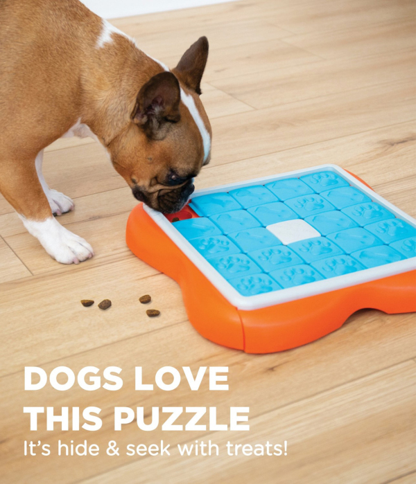 Outward Hound - Nina Ottosson - Dog Challenge Slider (Level 3) - Image 5