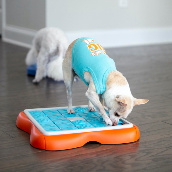 Outward Hound - Nina Ottosson - Dog Challenge Slider (Level 3) - Image 6