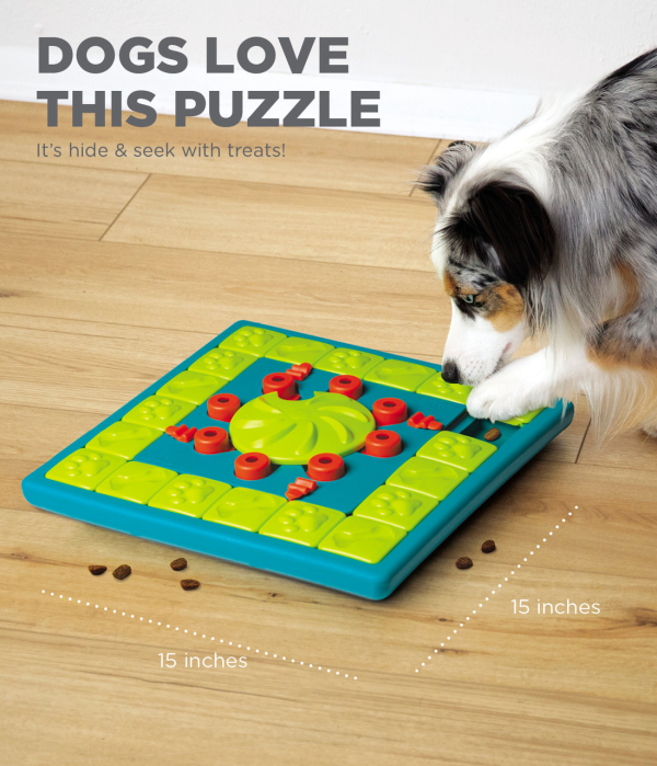 Outward Hound - Nina Ottosson - Dog MultiPuzzle (Level 4) - Image 4