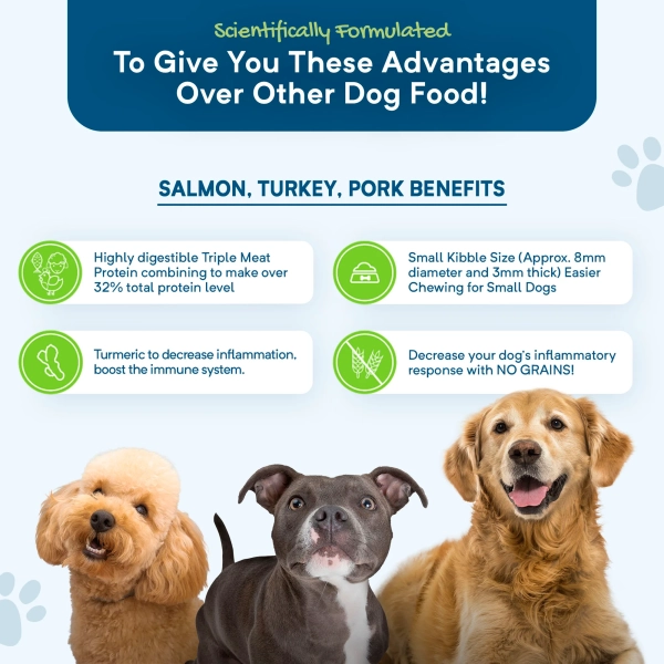 Stay Loyal - Holistic Meat Blend of Salmon, Turkey & Pork - GRAIN FREE - Image 4