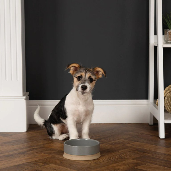 Scruffs - Scandi Bowl - Grey - Image 2