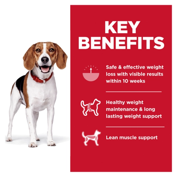 Hill's - Science Diet - Adult Dog - Perfect Weight - Small Bites - Image 3