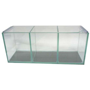 Pet Worx - Glass Fighter Tank - 3 Bay