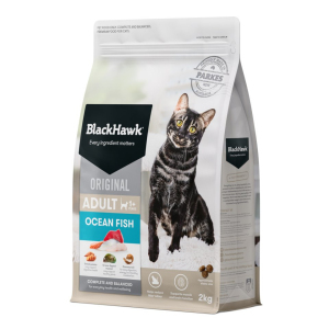 Black Hawk - Adult Cat - Ocean Fish