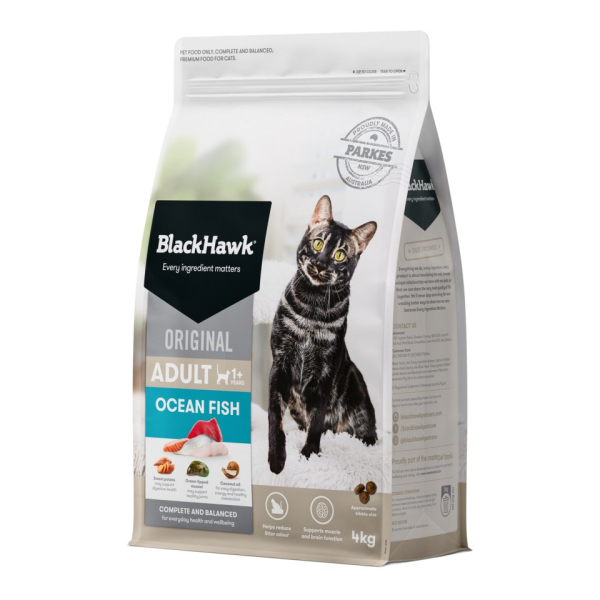 Black Hawk - Adult Cat - Ocean Fish - Image 2