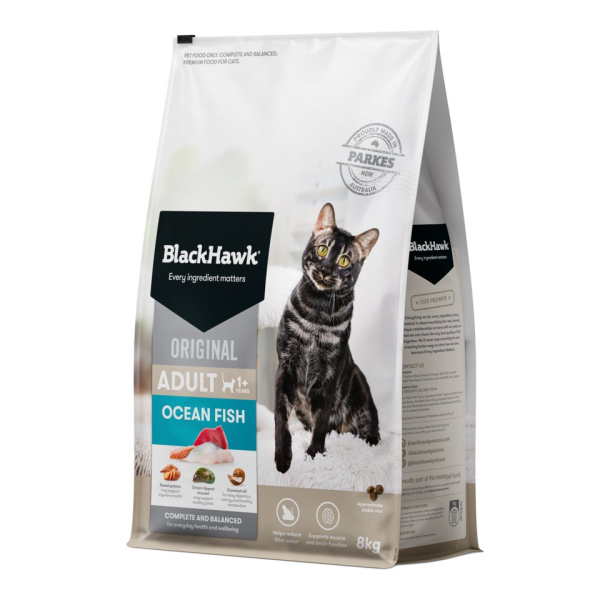 Black Hawk - Adult Cat - Ocean Fish - Image 3
