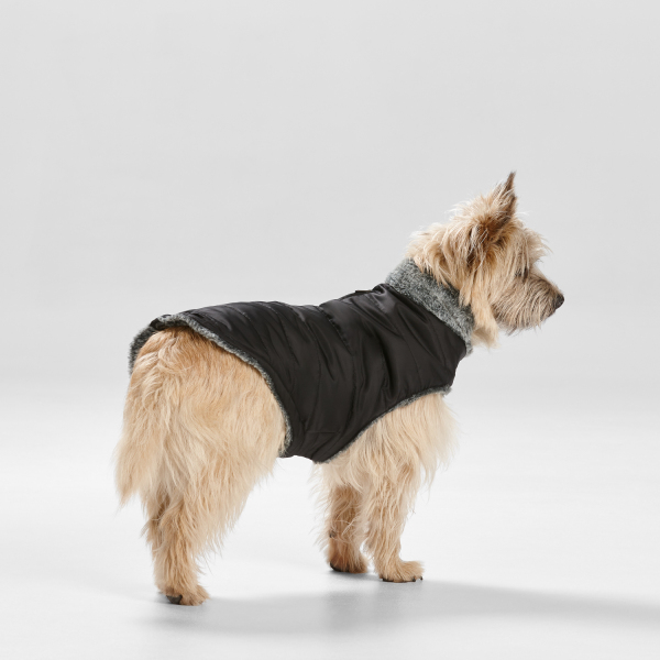 Snooza Wear - Fur Collar Puffer - Black - Image 2