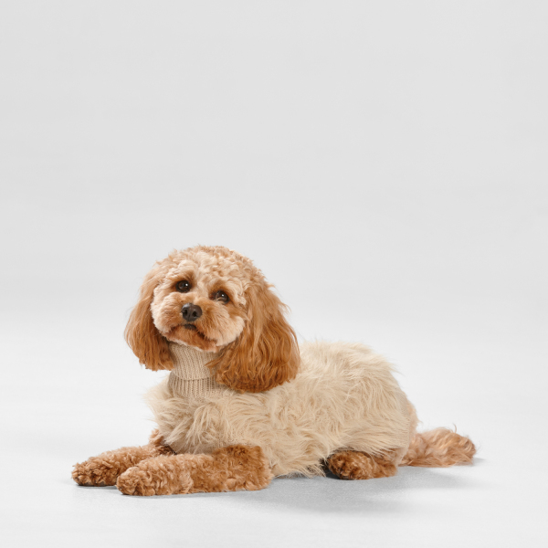 Snooza Wear - Fur Knit Jumper - Ecru - Image 5