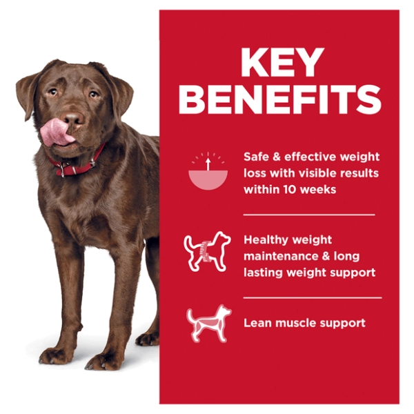 Hill's - Science Diet - Adult Dog - Perfect Weight - Large Breed - Image 4
