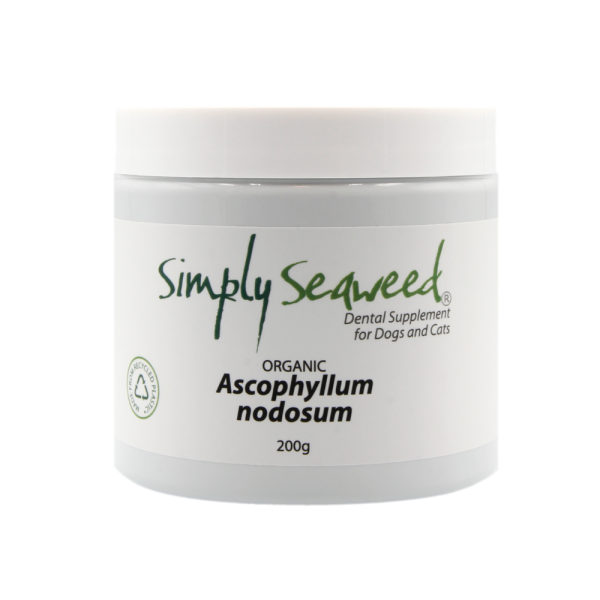 Simply Seaweed - Dental Supplement - Image 4